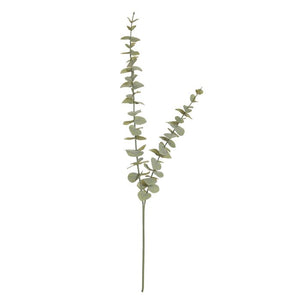 Eucalyptus Spray