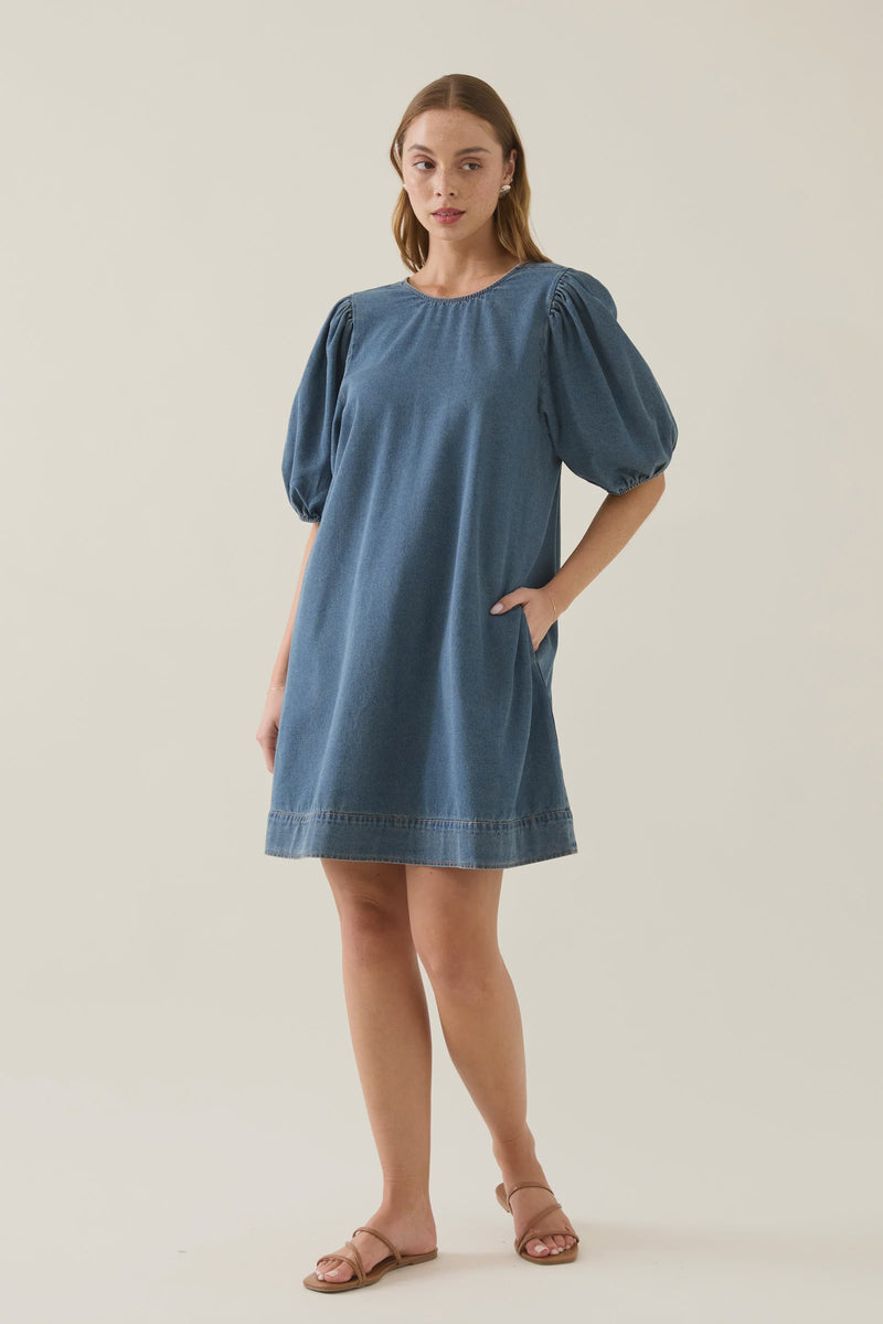 Sofie Denim Dress / Drift