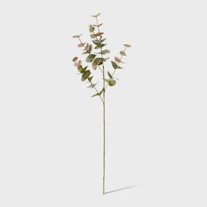 Eucalyptus Spray Green Pink