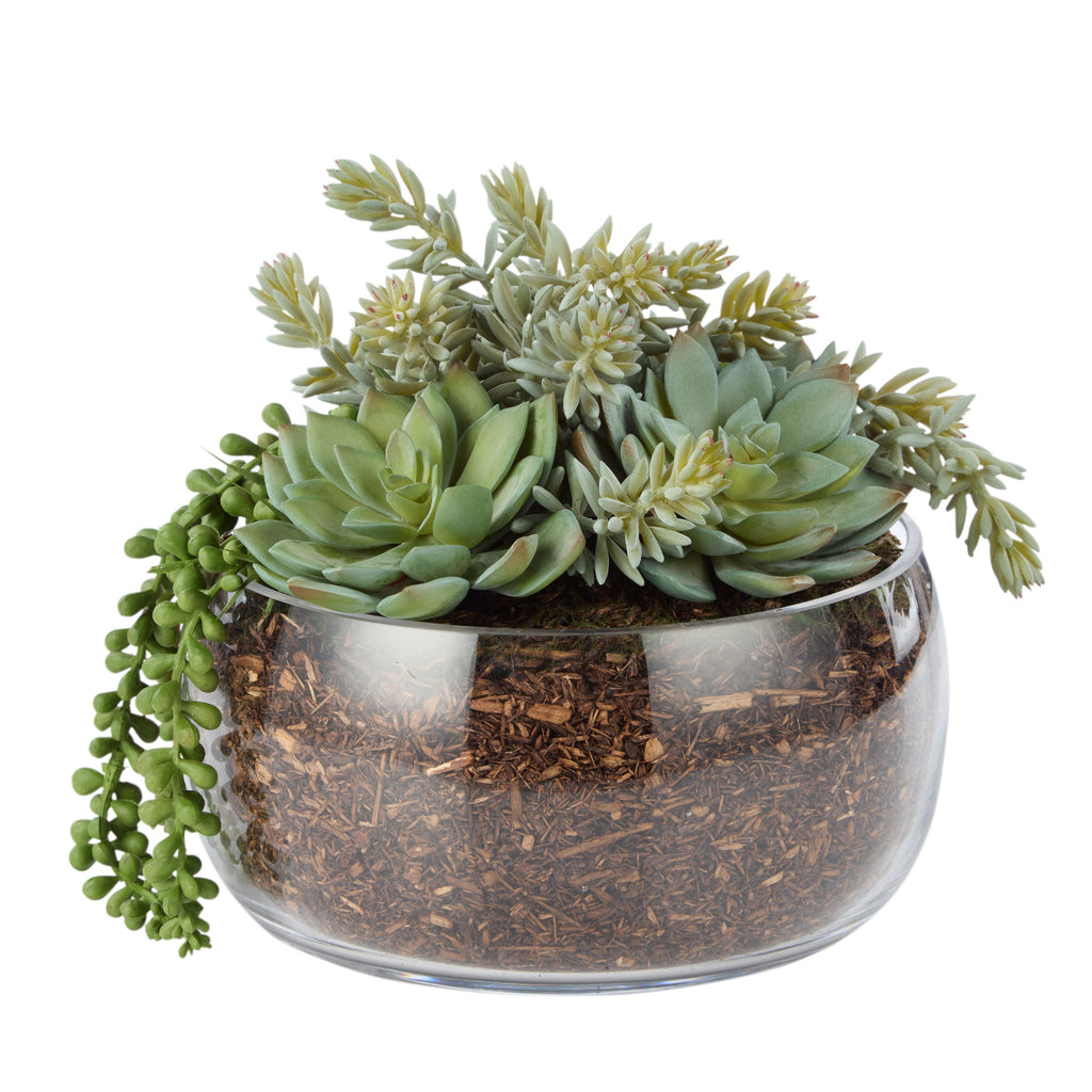 Succulent Mix Scarlett Bowl