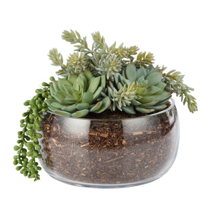Succulent Mix Scarlett Bowl