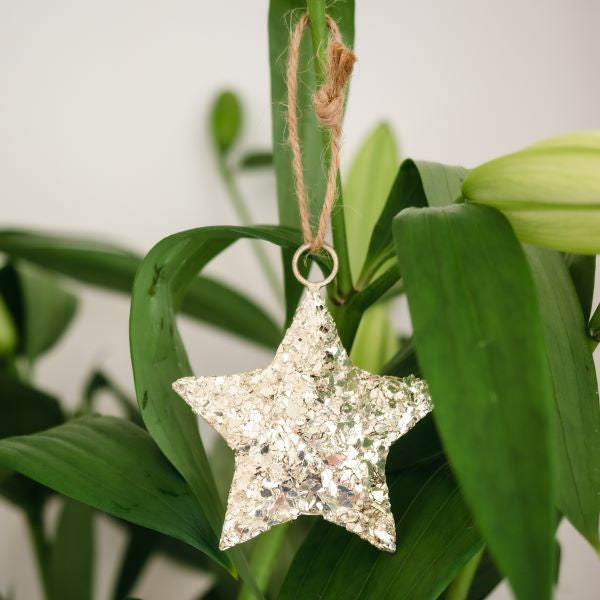 Lucia Hanging  Metal Star 8cm / Champagne