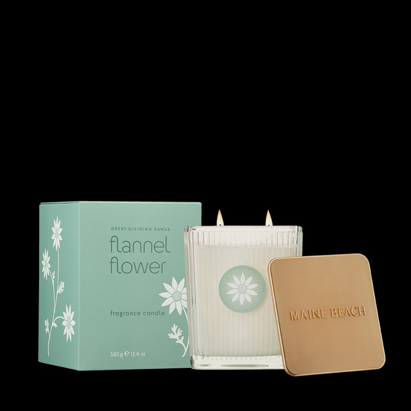 Flannel Flower Fragrance Candle 380g