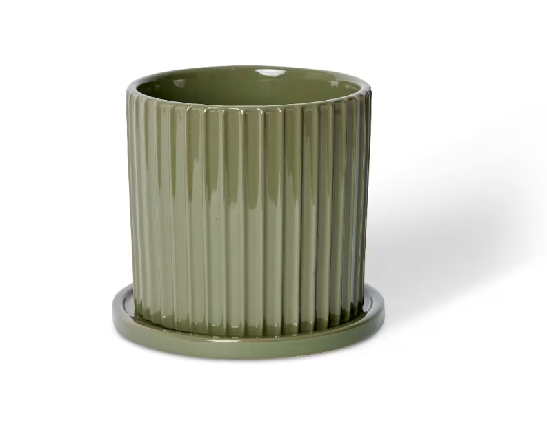 Quinn Pot W/ Saucer Green / 16cm