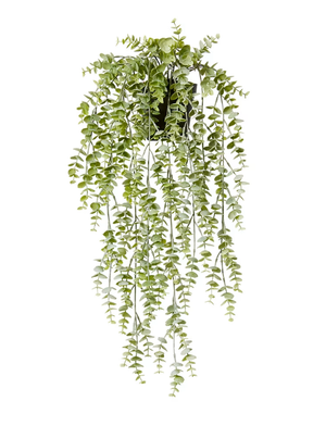 Silver Leaf Hanging Plant / 58cm