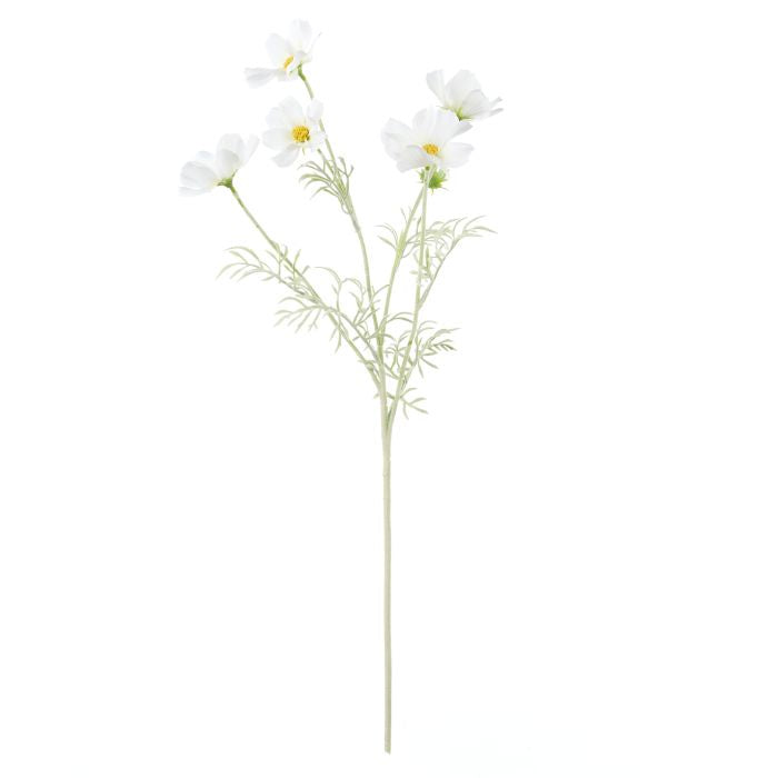 Cosmos Flower Spray