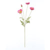 Poppy Spray