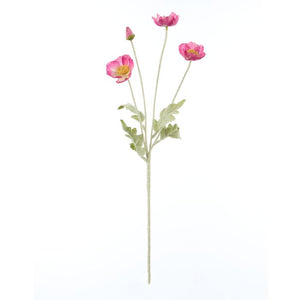 Poppy Spray