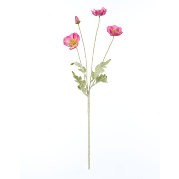 Poppy Spray