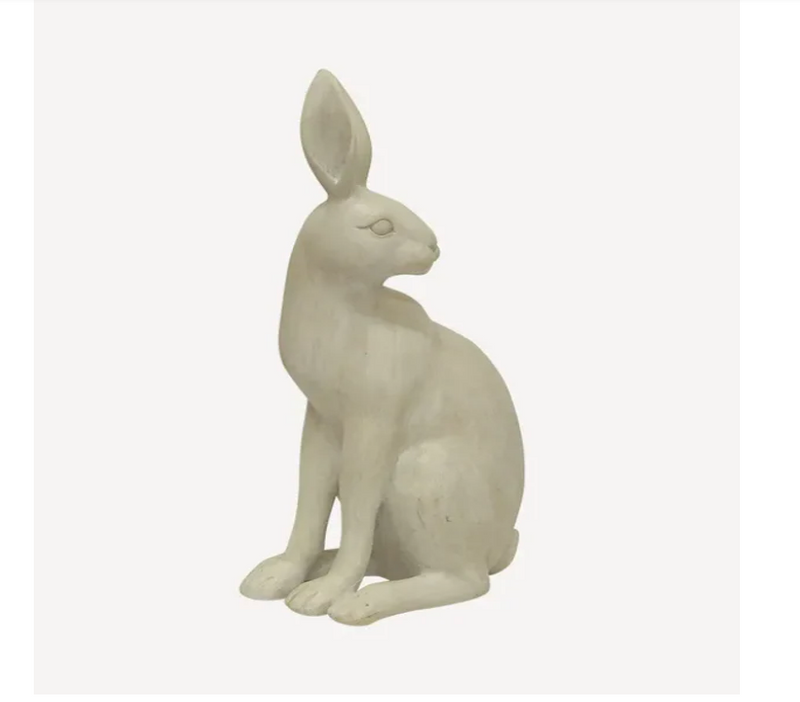 Harold The Hare Turning White