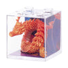 Sensory Dragon