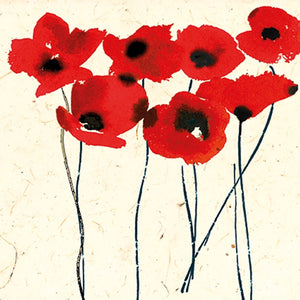 Jenny Frean Inky Poppies
