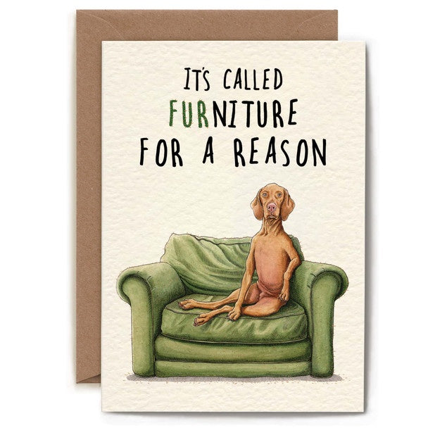Furniture Dog