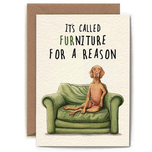 Furniture Dog