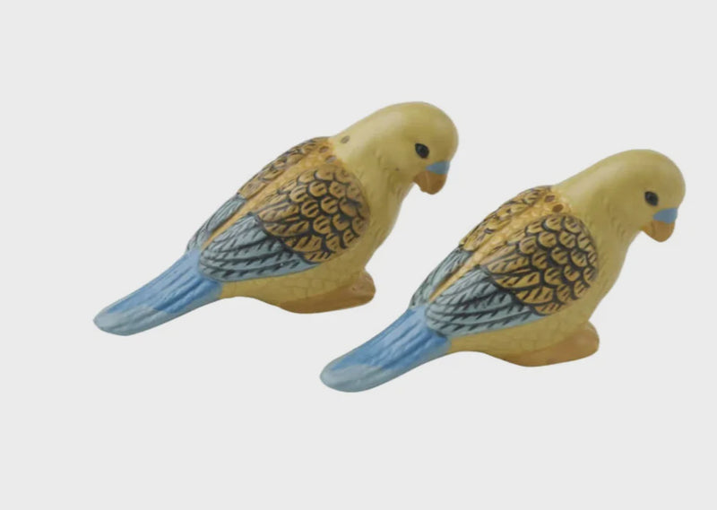 Kylie S/2 Ceramic Salt & Pepper Shakers