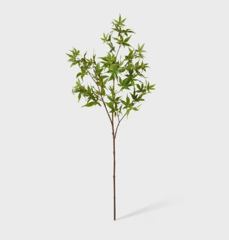 Maple Japanese Spray Green 95cm