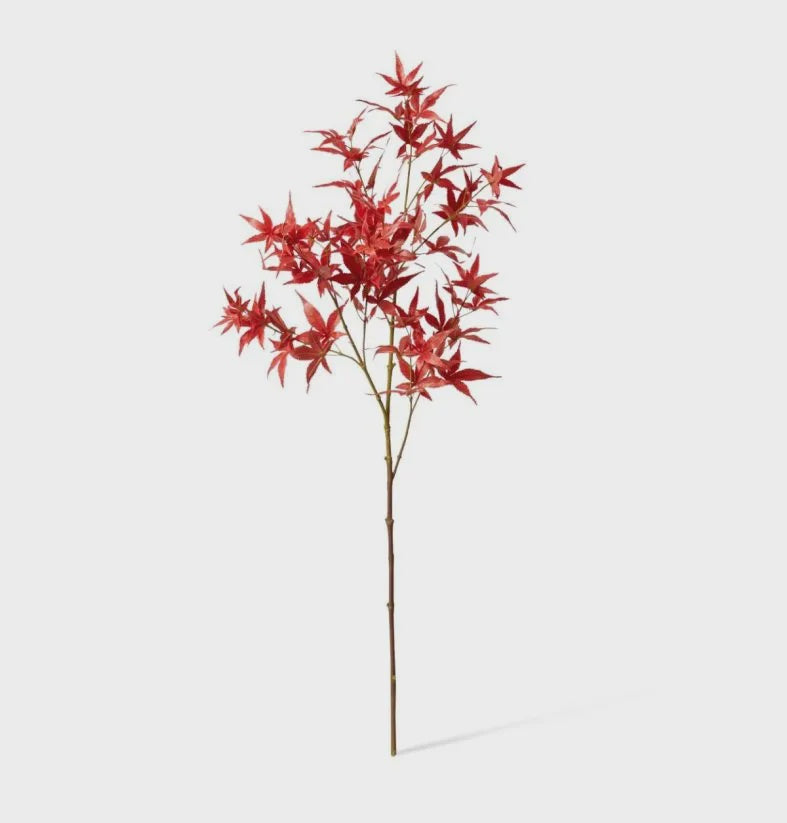 Maple Japanese Spray Red 95cm