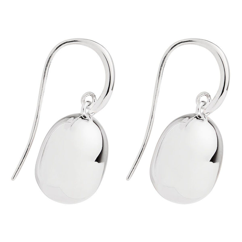 Hatchling Silver Earrings