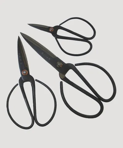 Black Herb Scissors (Set 3)